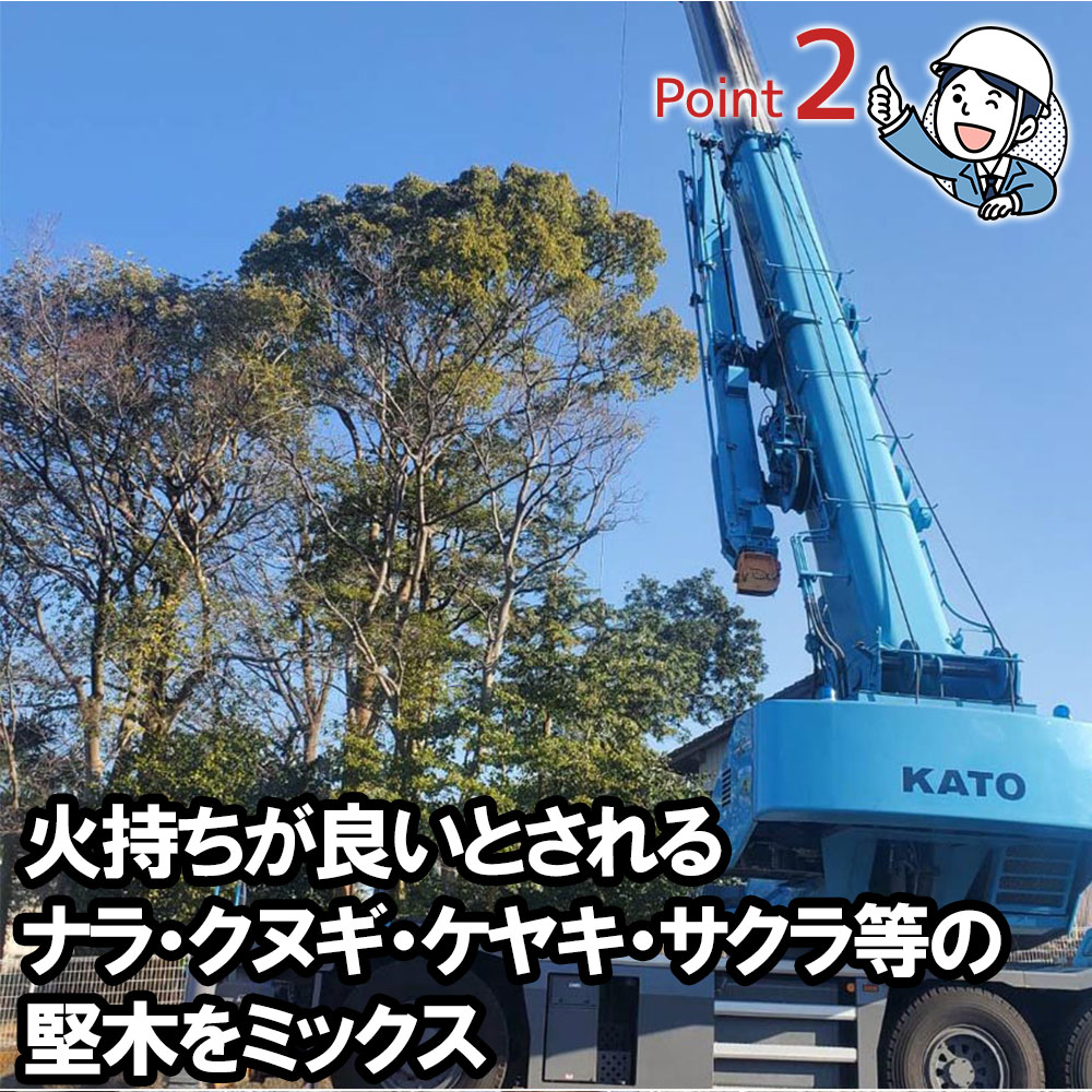 【ふるさと納税】未乾燥薪40cm