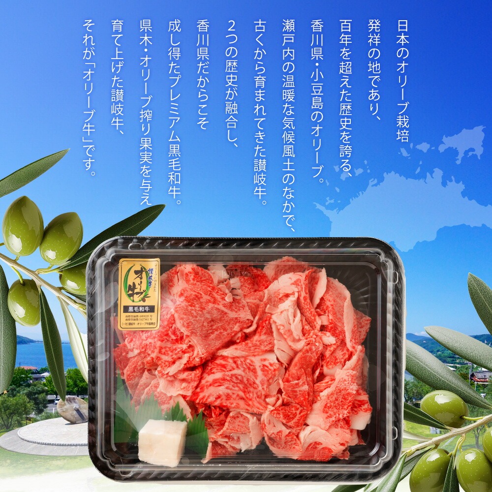 【ふるさと納税】黒毛和牛オリーブ牛 切り落とし 約500g×2