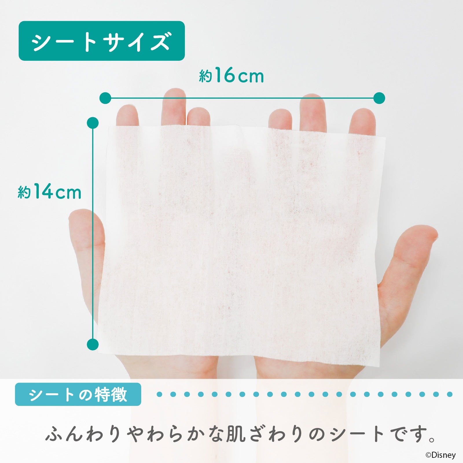 ノンアルコール 除菌シート 60枚×12 アナと雪の女王（アナ＆エルサ） ディズニー