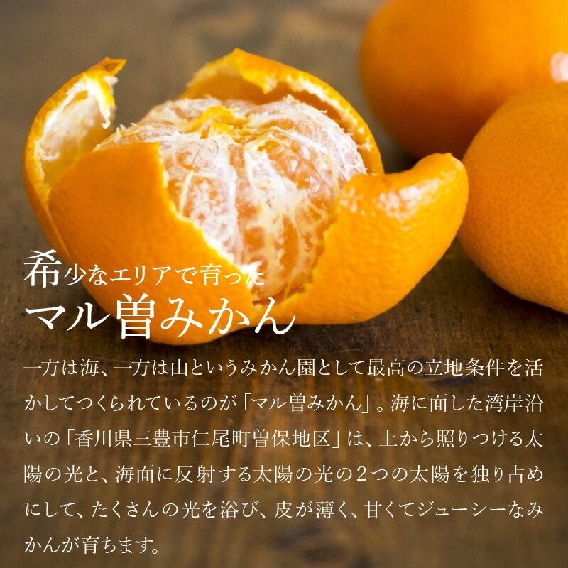 【11/15より発送】三豊市産 極上【マル曽 早生みかん約5kg】S～Mサイズ