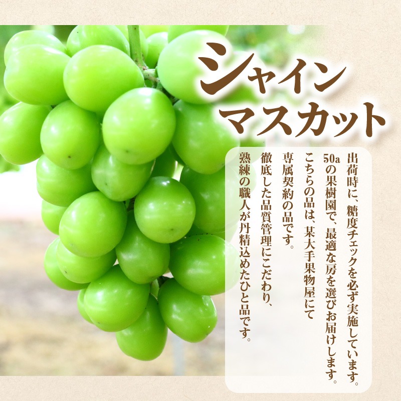 産地厳選三豊のフルーツ7回定期便A