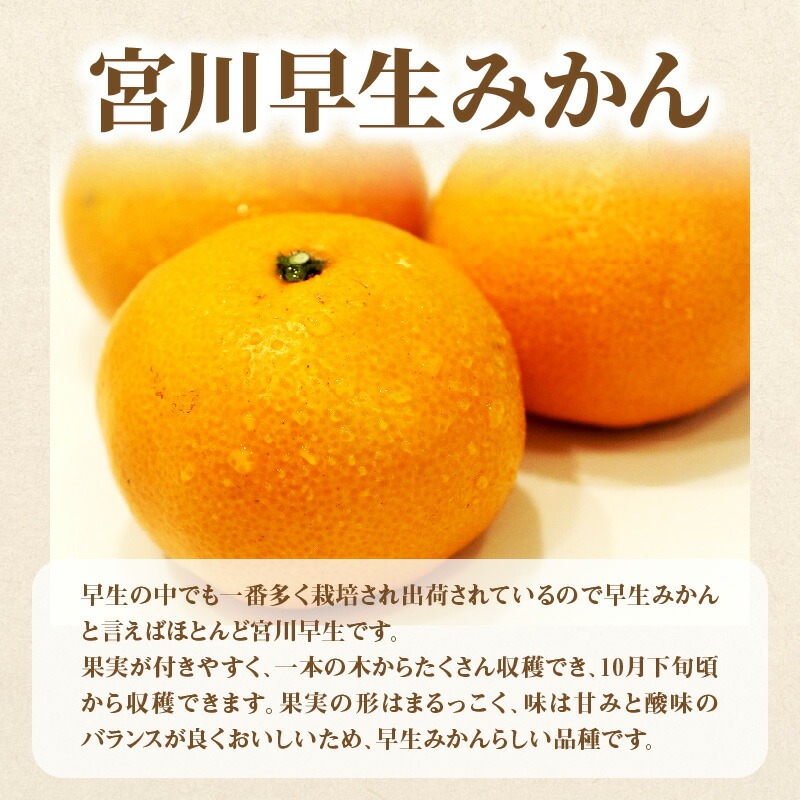産地厳選三豊のフルーツ4回定期便 H