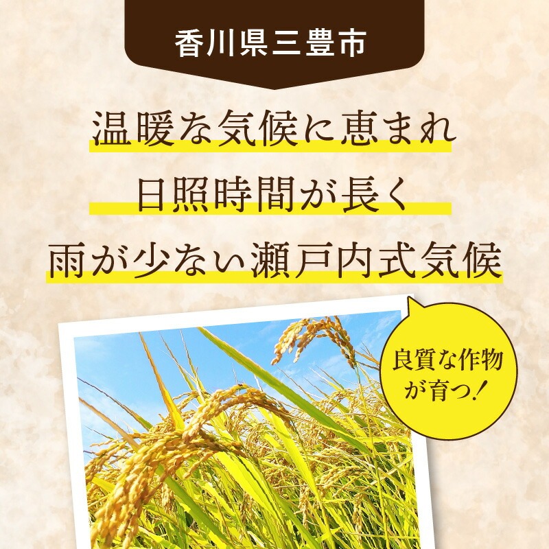 【ふるさと納税】【新米おいしいお米】【ヒノヒカリ 5kg】(5kg×1袋)