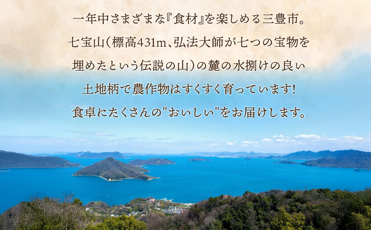 コシヒカリ　10kg