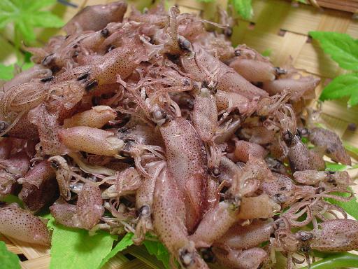 【ゆうパケット】瀬戸内のウマウマひいか 28g