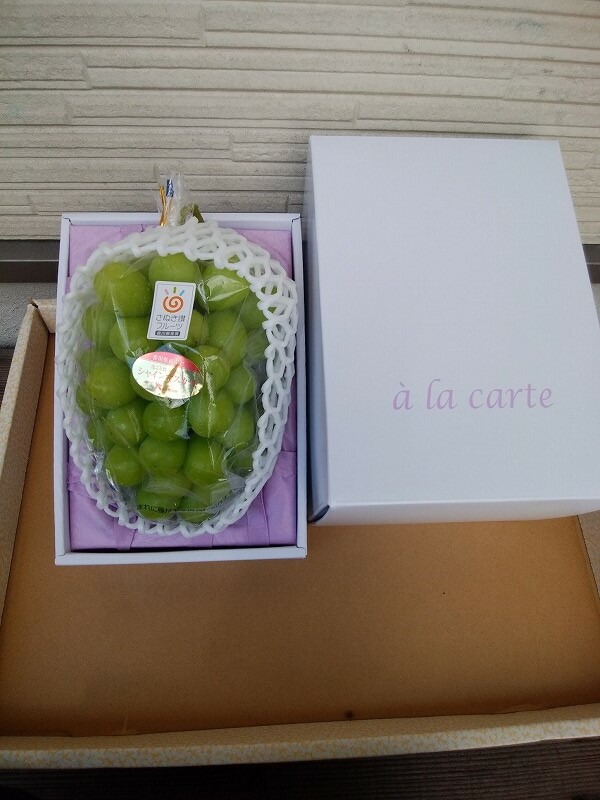 【7月上旬から】【さぬき讃フルーツ】加温ハウス シャインマスカット1房 (化粧箱入り)