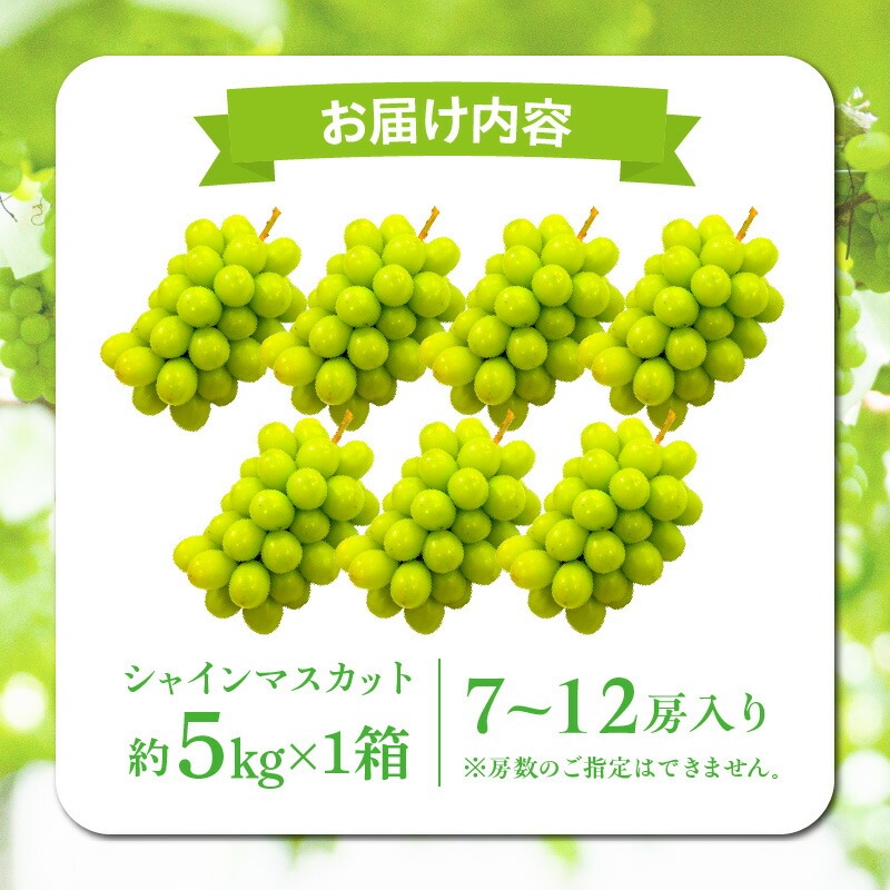 【9月1日から】【さぬき讃フルーツ】シャインマスカット 約5kg