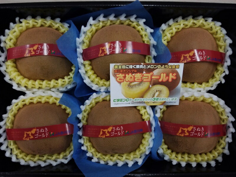 【10月下旬より】さぬきゴールドキウイ「黄様」超大玉6個入り×2箱【ギフト可】