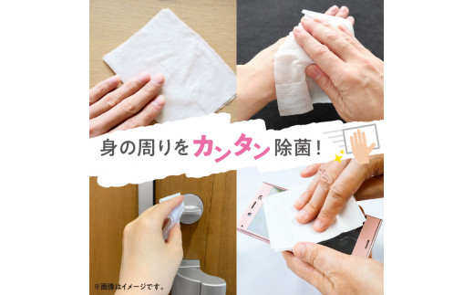 【ふるさと納税】LD-104 リファイン アルコール除菌 ウエットティッシュ(60枚3P)