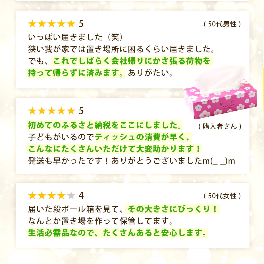 【ふるさと納税】3か月ごと2回　プラムファッション Boxティッシュ 5箱×4パック