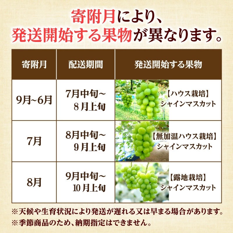 大箱シャインマスカット3ヶ月連続定期便