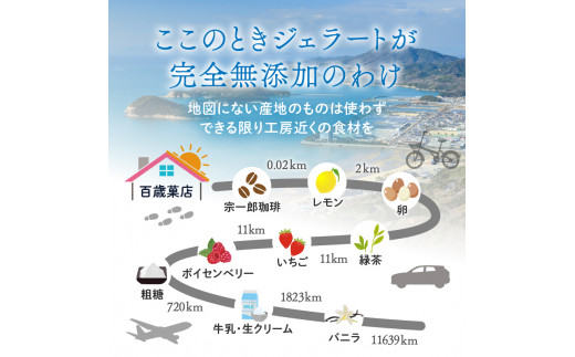 ここのときジェラート12点セット