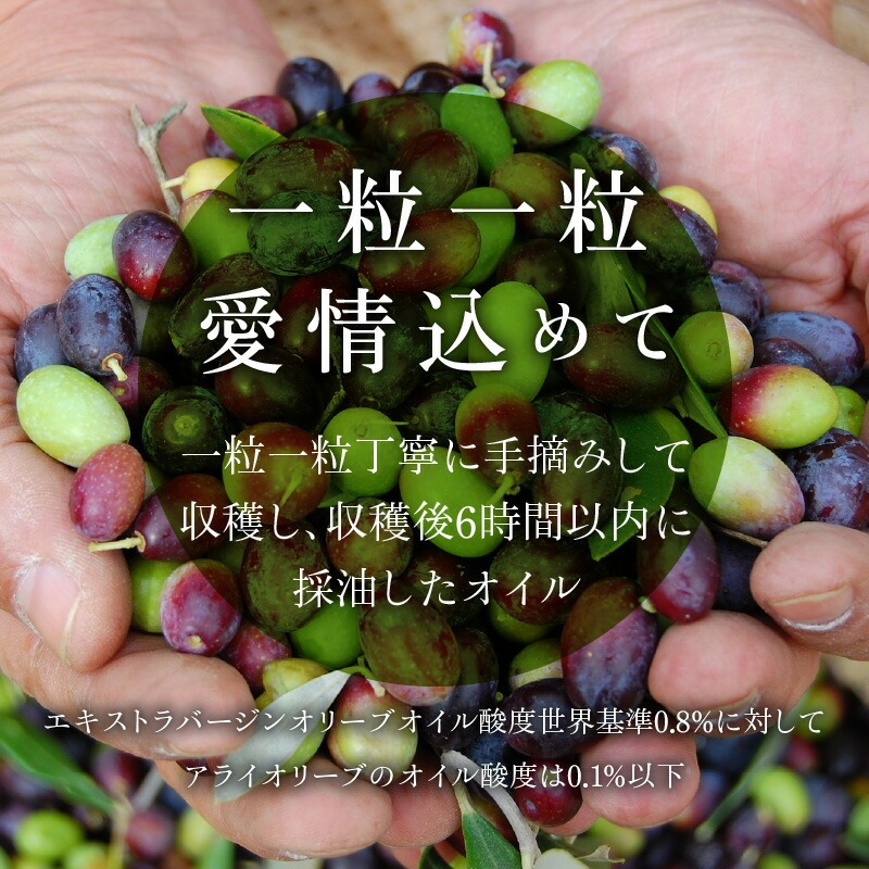 エキストラバージンオリーブオイルJAPAN(大)185g