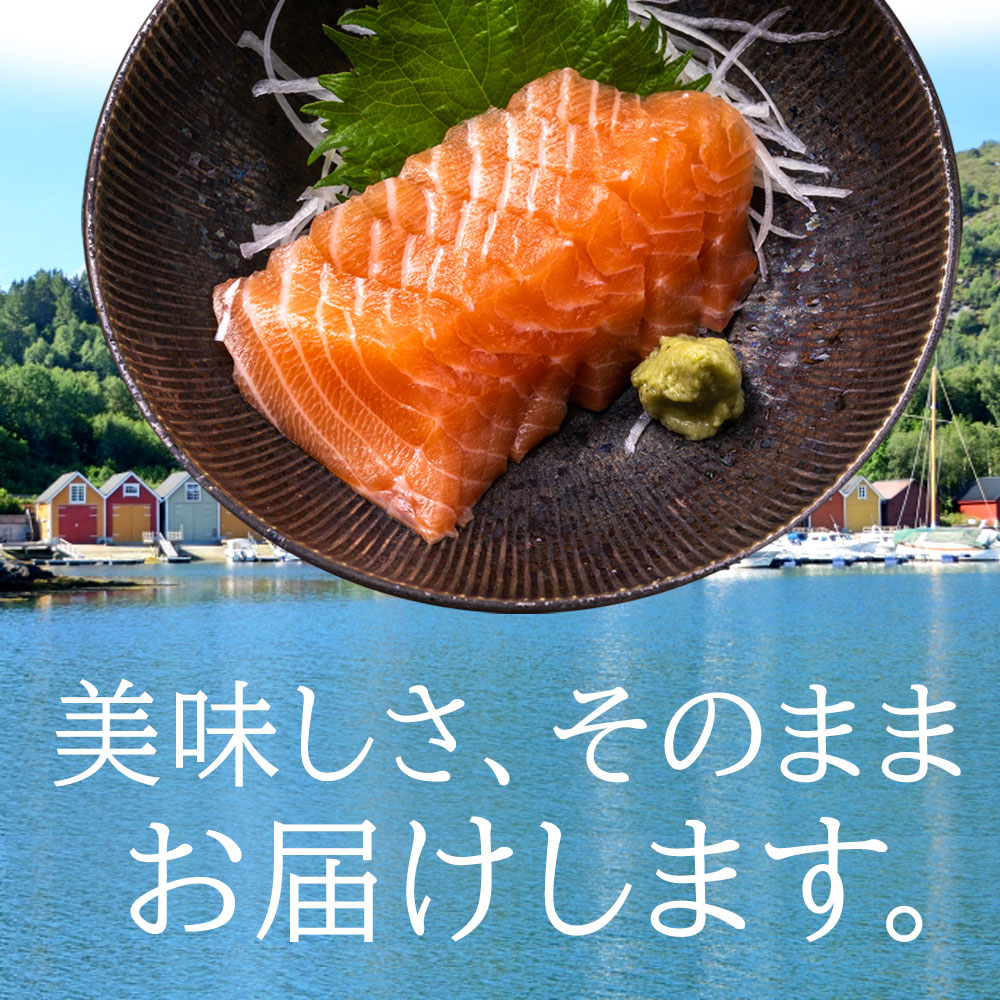 【ふるさと納税】アトランティックサーモン　300g