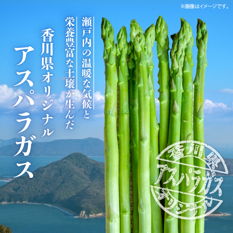 さぬきのめざめ　1kg