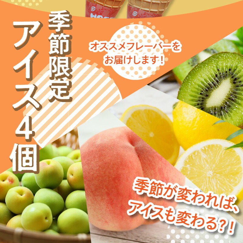 製造直売で人気の手作りアイスクリーム12個セット