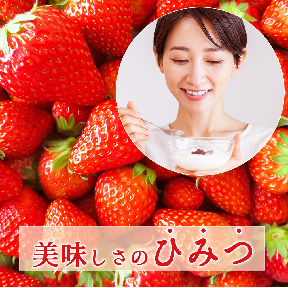 イチゴジャム 4個セット