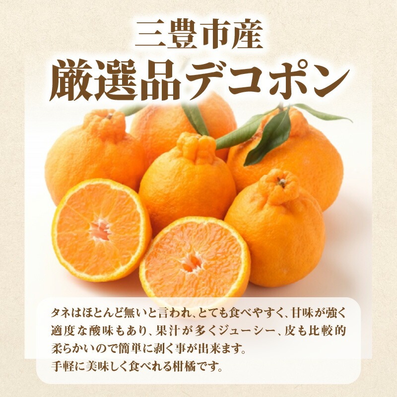 三豊市フルーツ2回お届け定期便C