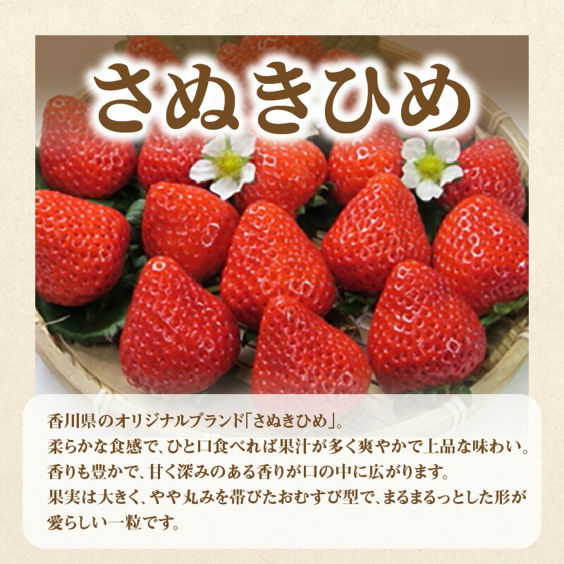 産地厳選三豊のフルーツ3回定期便C