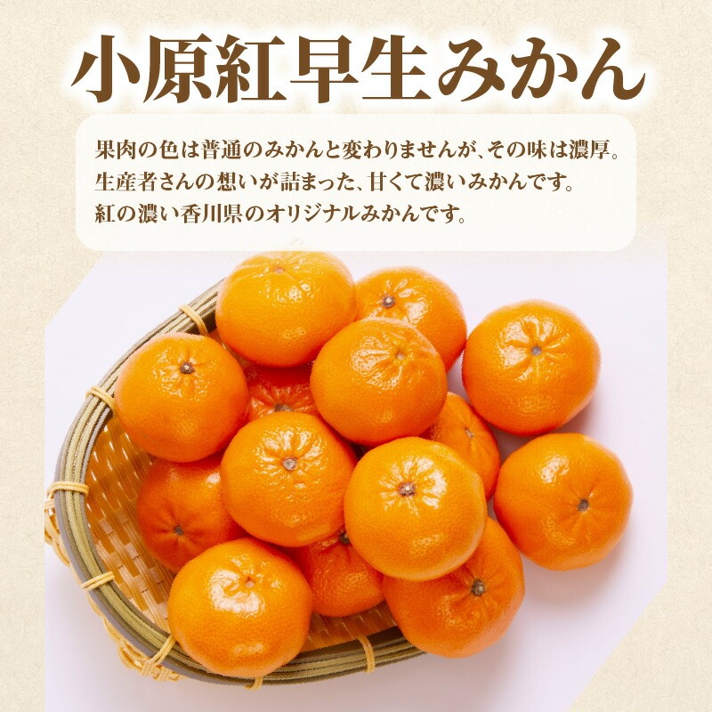 産地厳選三豊のフルーツ4回定期便 H