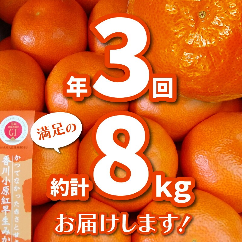 【ふるさと納税】【マスターショップセレクト】「小原紅早生みかん」の定期便(年3回)