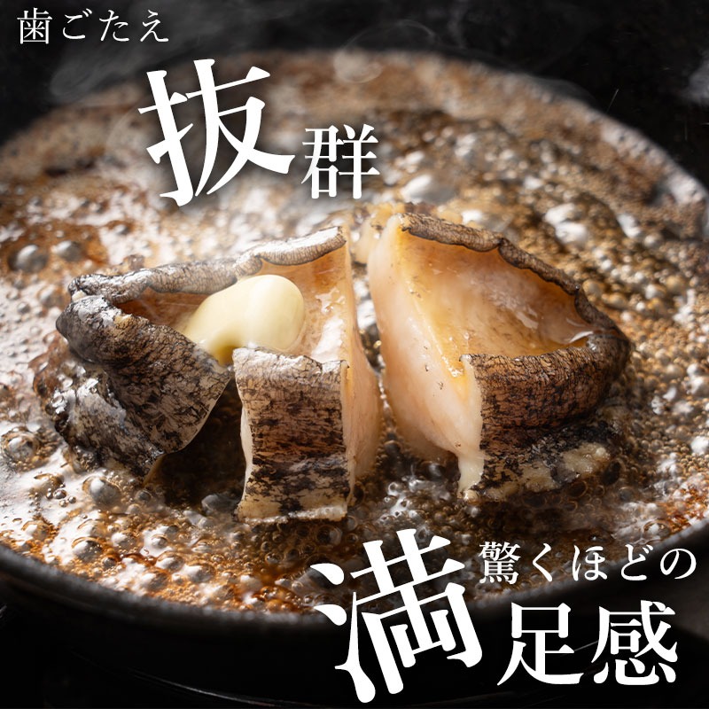 オリーブアワビ約500g(5個入り前後)×12