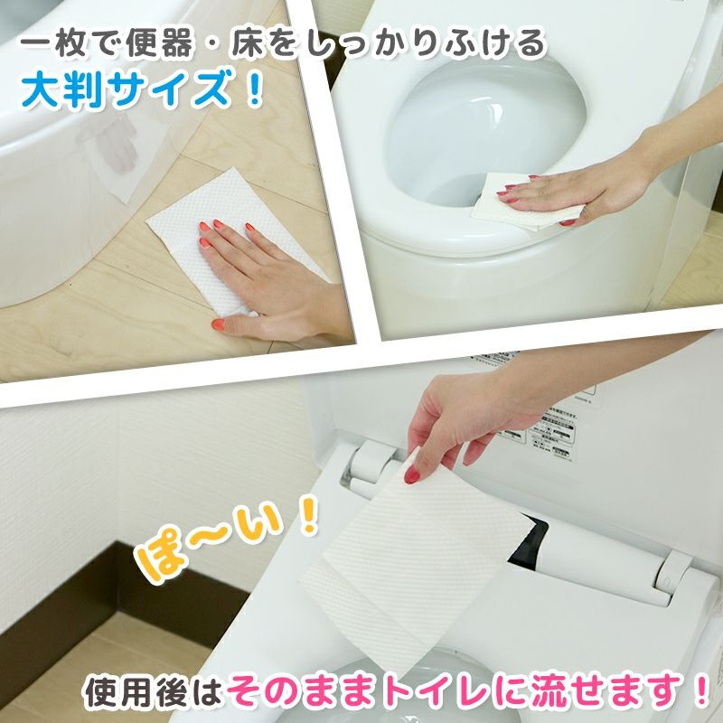 GN超厚流せるトイレクリーナー大判(12枚×2パック)×40袋×2