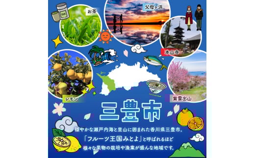 【ふるさと納税】LD-035 弱酸性ふんわりタッチのおしりふき(80枚入り×3P)×12セット 合計36パック×3か月