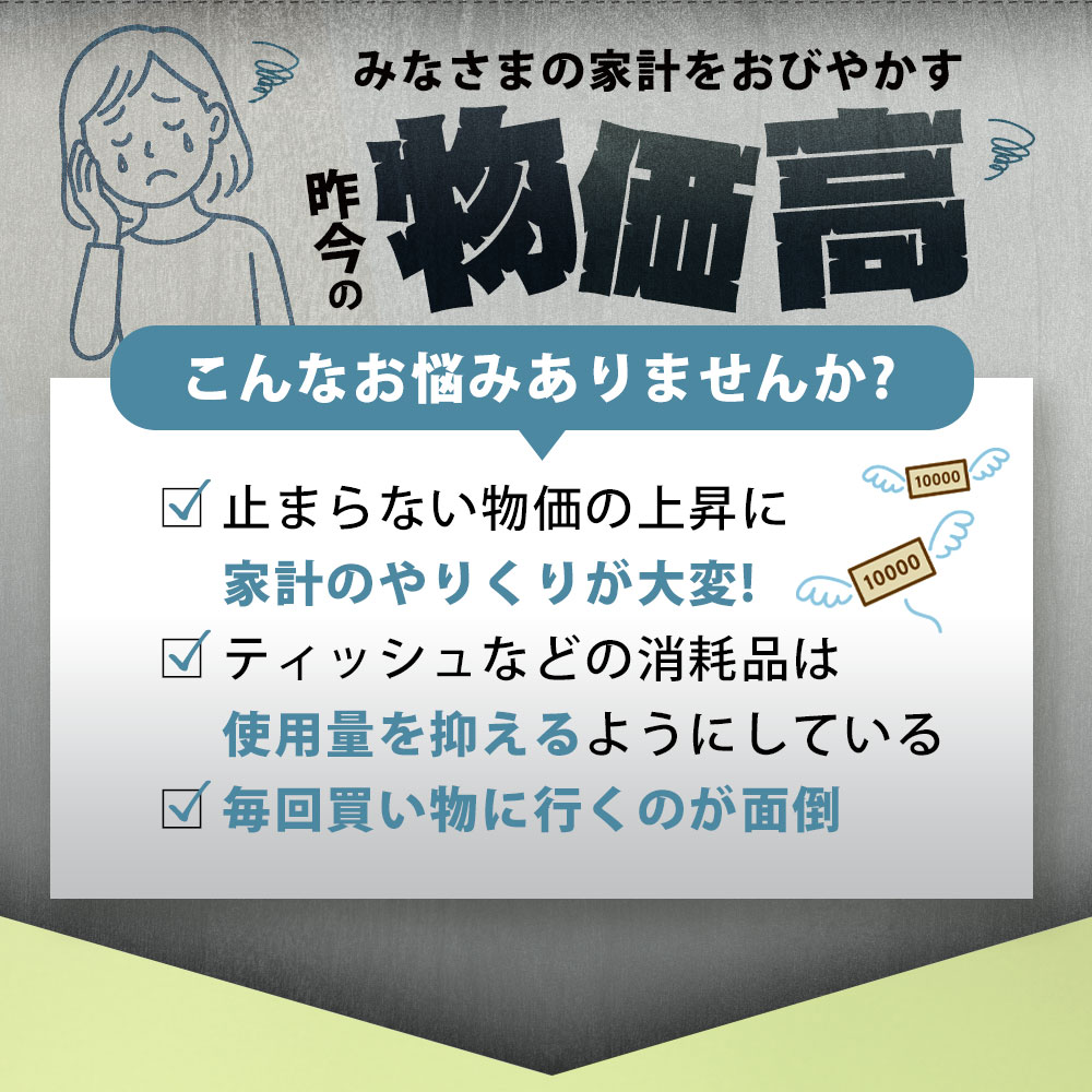 【ふるさと納税】3か月ごと2回　プラムファッション Boxティッシュ 5箱×4パック