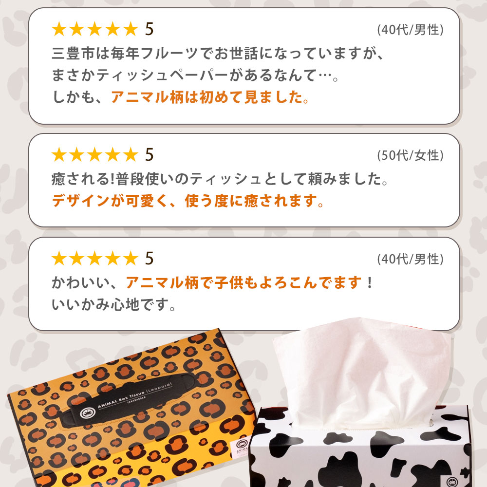 3か月ごと2回　ANIMAL Boxティッシュ 5箱×2パック