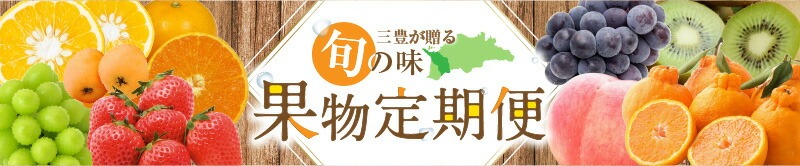 大箱シャインマスカット3ヶ月連続定期便