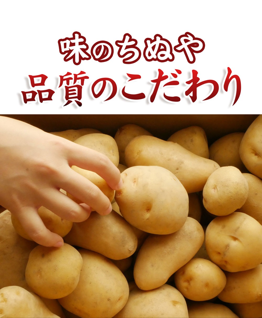 昔のコロッケレンジアップシリーズ【定期便12回】