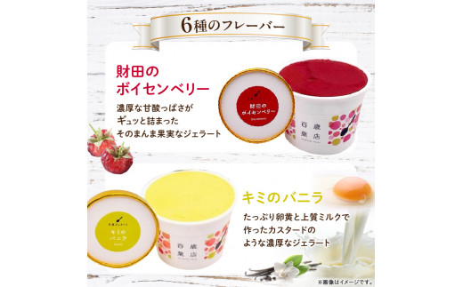 ここのときジェラート12点セット