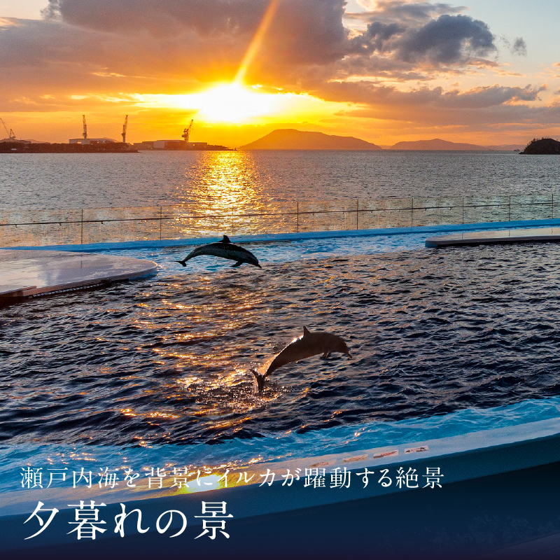 四国水族館ペアチケット