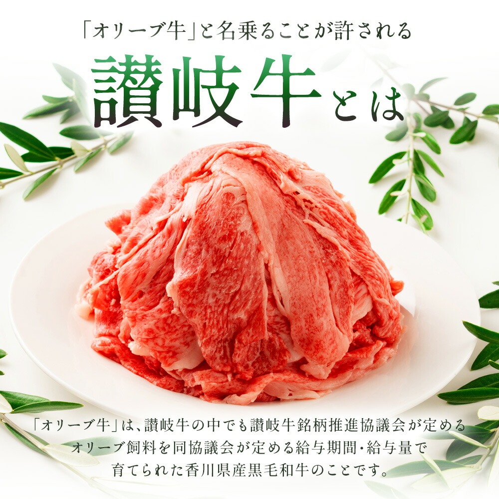 【ふるさと納税】黒毛和牛オリーブ牛 切り落とし 約500g×2