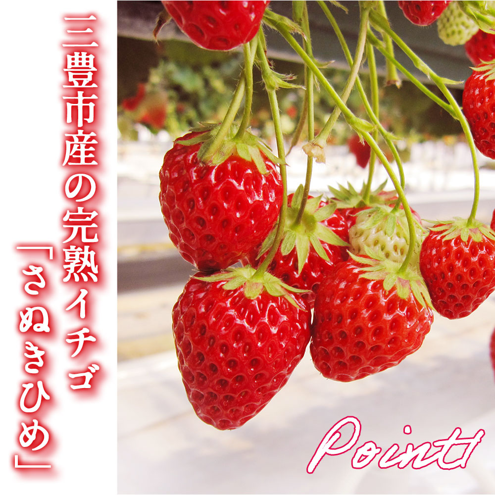 イチゴジャム 4個セット