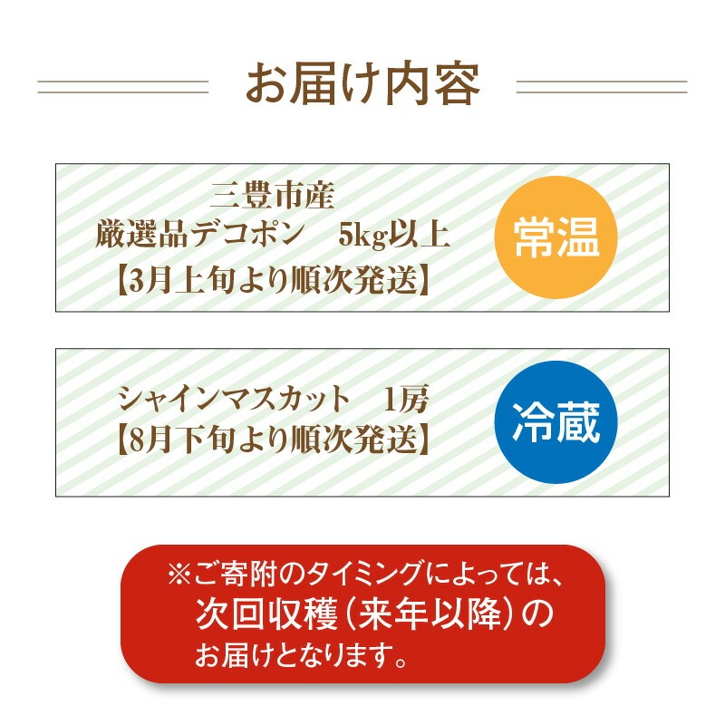 三豊市フルーツ2回お届け定期便C