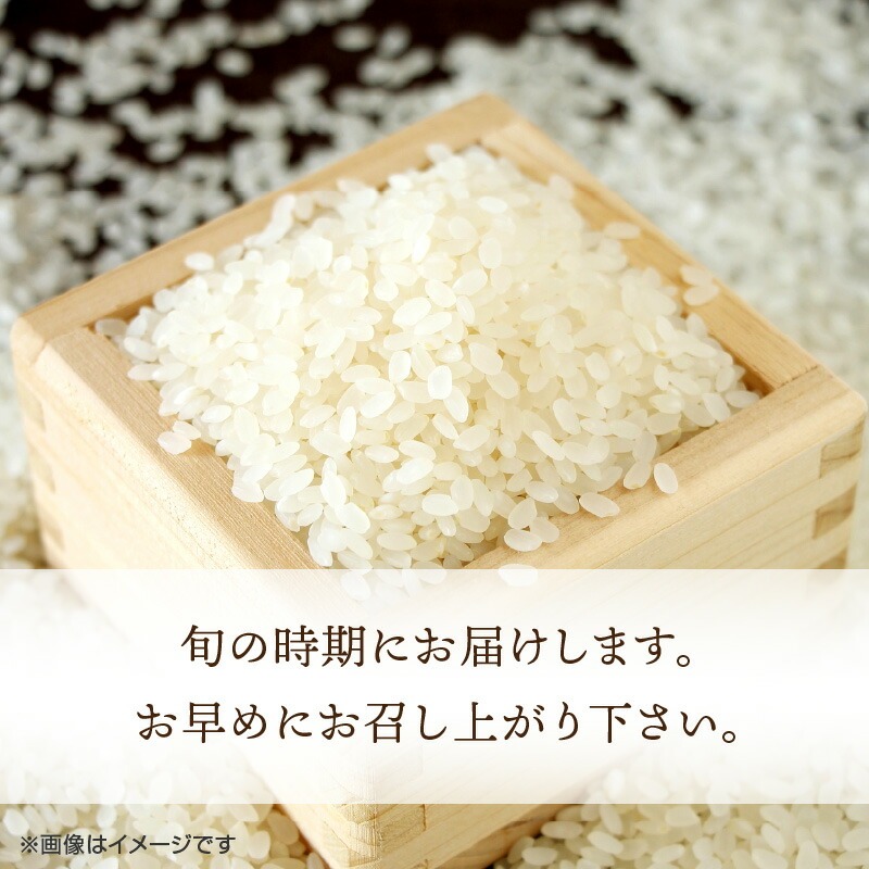 【ふるさと納税】【新米おいしいお米】【ヒノヒカリ 5kg】(5kg×1袋)