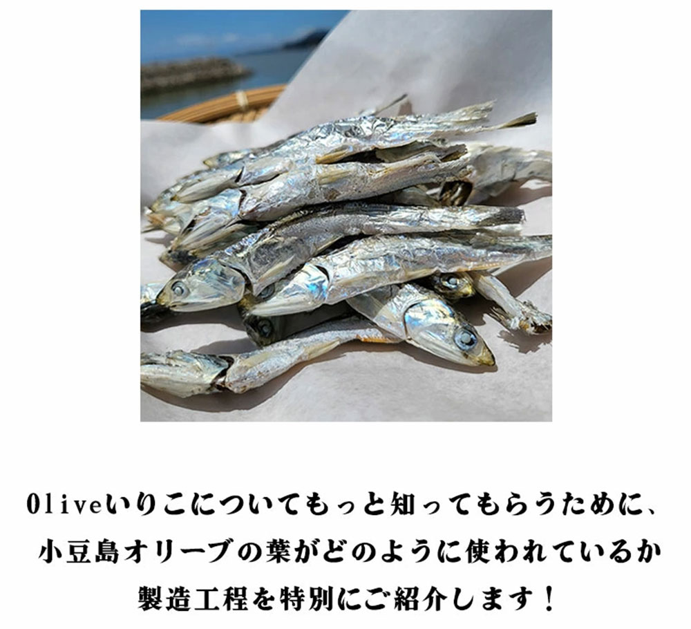 【ゆうパケット】香川県三豊市産 オリーブいりこ大羽230g_M70-0004-1