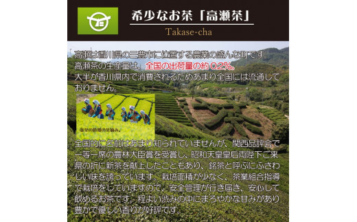 希少なお茶【高瀬茶】水でよく出る 緑茶三角ティーバッグ「200回分」160g(4g×40個)×5袋