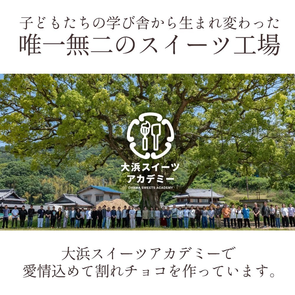 割れチョコ ごろごろカシューナッツ 200g×2