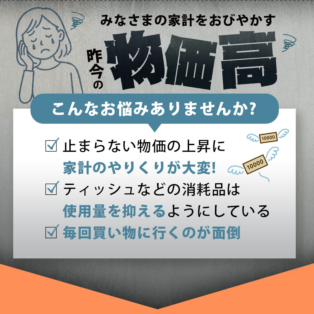 3か月ごと2回　ANIMAL Boxティッシュ 5箱×2パック