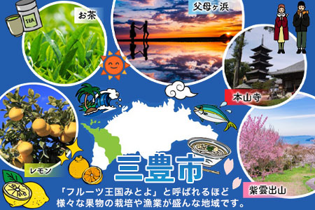 【ふるさと納税】 木製知育玩具 木のおもちゃ 道セット [ 玩具 積み木 木製おもちゃ 天然木おもちゃ 日本製おもちゃ 木製レールセット 手作り 安心 安全 子ども 知育 国産 ギフト プレゼント 職人仕上げ 男の子 女の子 50000 50, 台  なかよしライブラリー ]