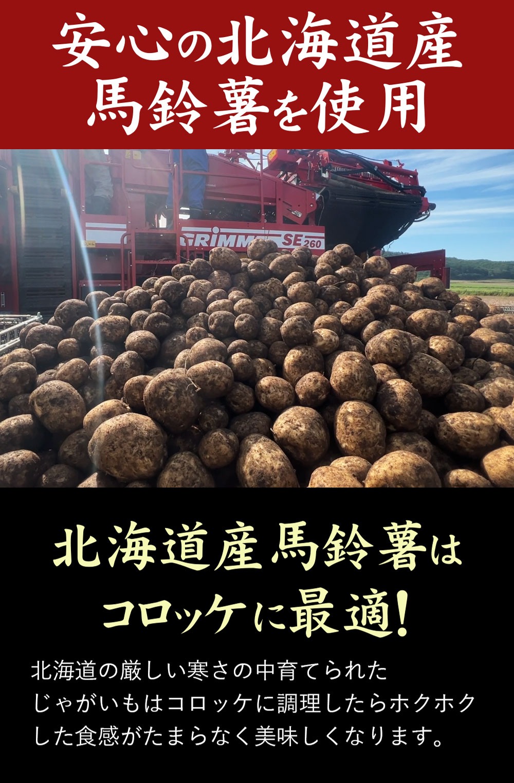 昔のコロッケレンジアップシリーズ【定期便12回】