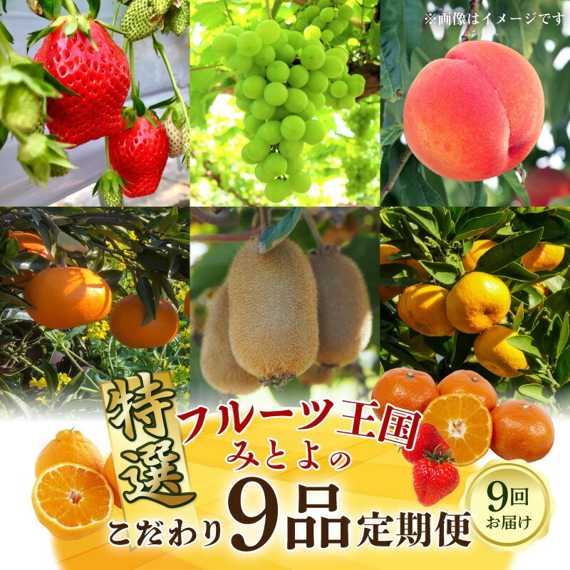 フルーツ王国みとよの特選こだわり9品定期便