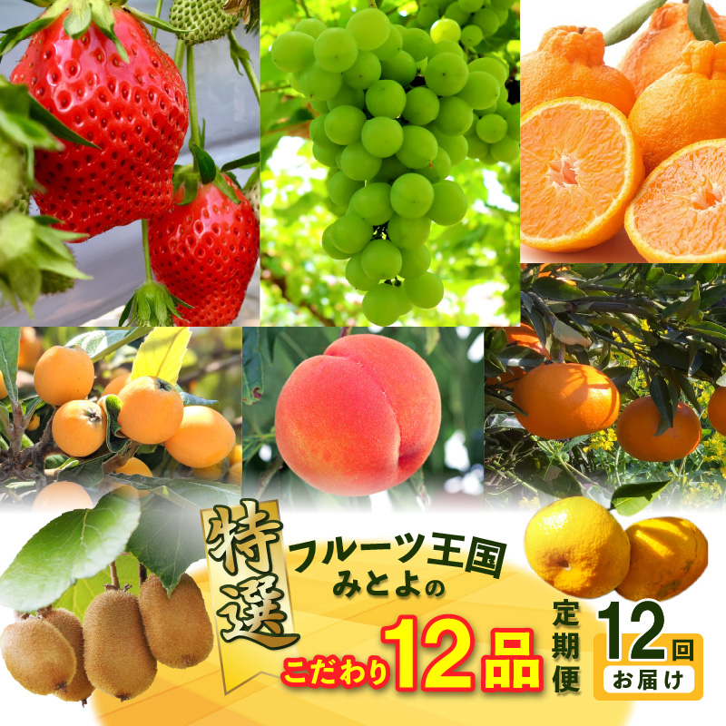 【ふるさと納税】フルーツ王国みとよの特選こだわり12品定期便(12回)