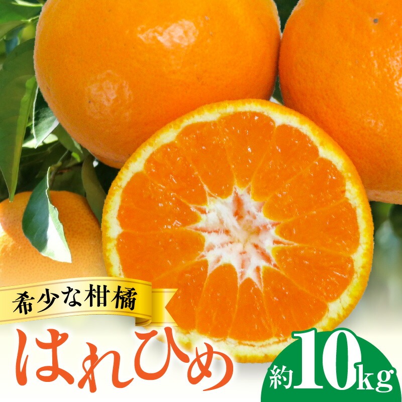 【ふるさと納税】希少な柑橘「はれひめ」約10kg