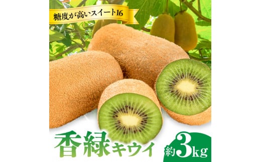 【ふるさと納税】【さぬき讃フルーツ】香緑キウイ(スイート16)約3kg
