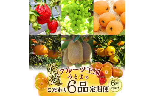 フルーツ王国みとよの特選こだわり6品
