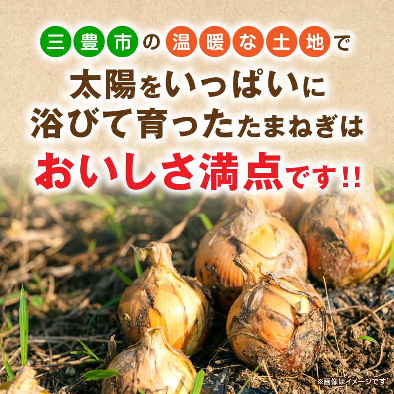 【ふるさと納税】三豊市のたまねぎ　約10kg